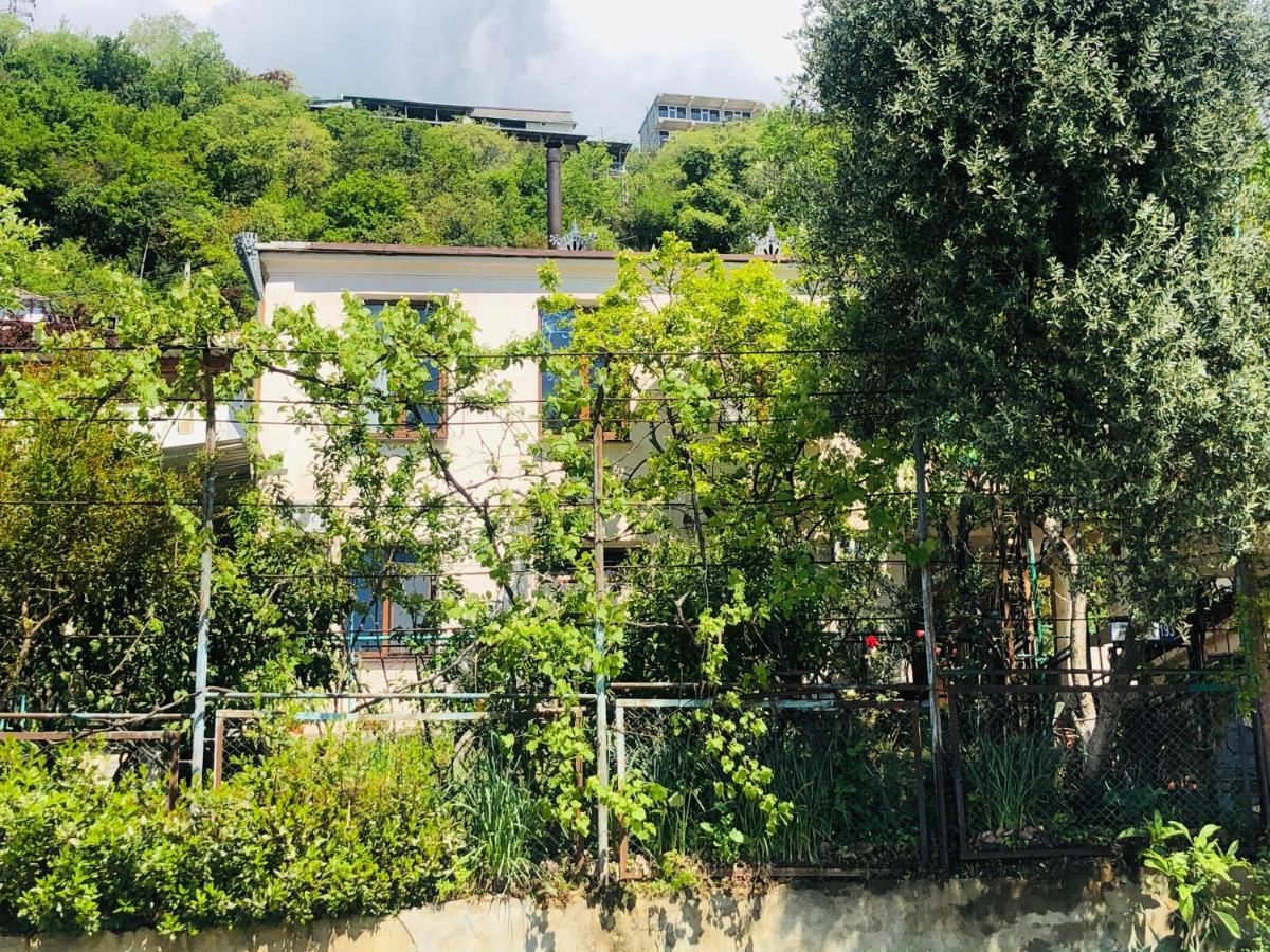Гостевой Дом «Лиза» Hotel Gagra Luaran gambar