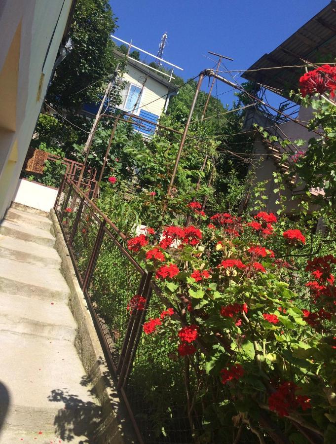 Гостевой Дом «Лиза» Hotel Gagra Luaran gambar